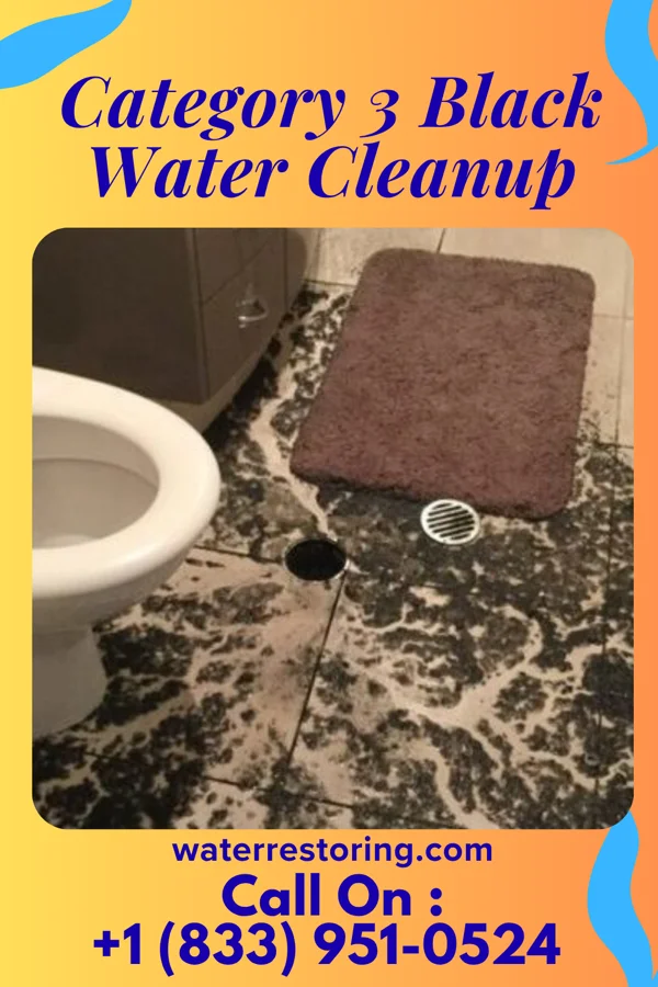 Category 3 Black Water Cleanup in Margate City, NJ