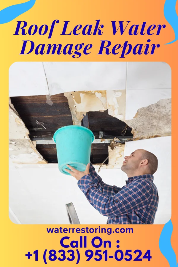 Roof Leak Water Damage Repair in Margate City, NJ