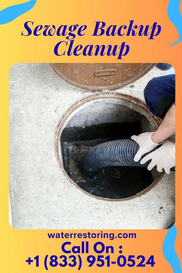 Sewage Backup Cleanup in Margate City, NJ
