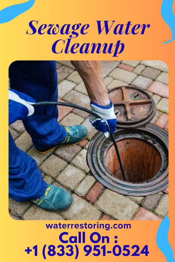 Sewage Water Cleanup in Margate City, NJ
