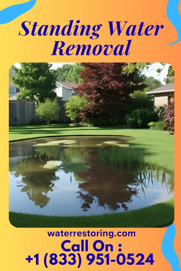Standing Water Removal in Margate City, NJ